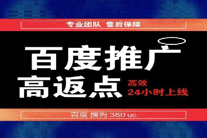 搜索引擎营销（SEM）的投放策略与效果评估——以某行业领先企业的案例分析