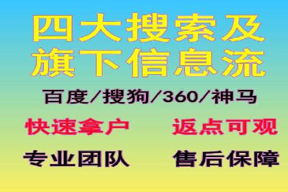 探索SEM推广代运营的奥秘：成功背后的故事